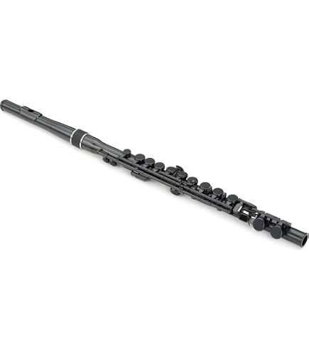 Amazon.com: Nuvo jFlute Beginner Student Flute – Black/Black
